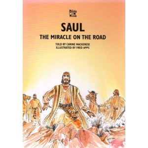Bible Wise; Saul, The Miracle On The Road by Carine MacKenzie